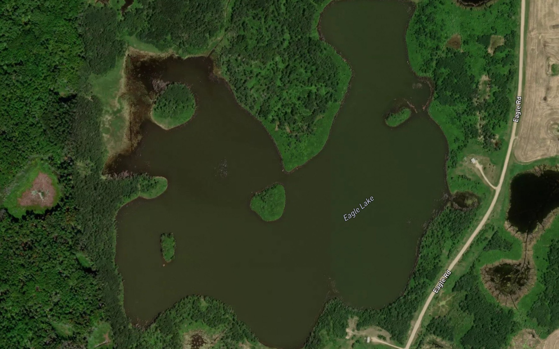 Satellite map of the Eagle Lake