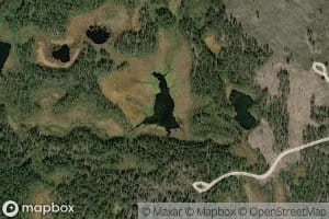 Alimmainen Kortelampi