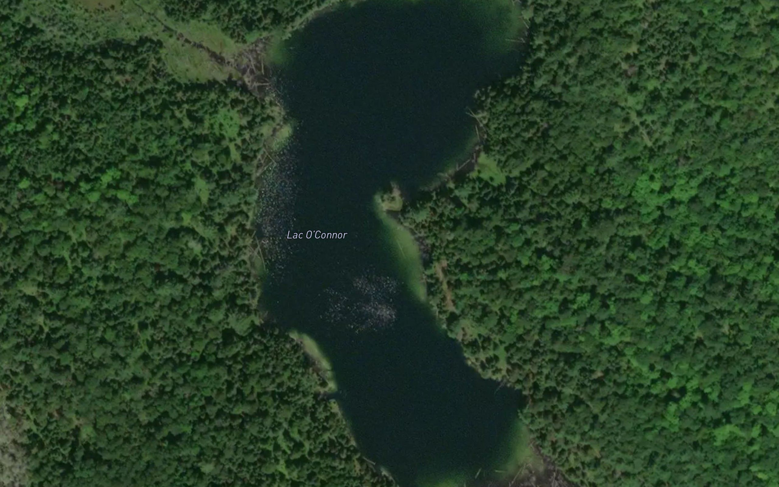 Lac O'Connor