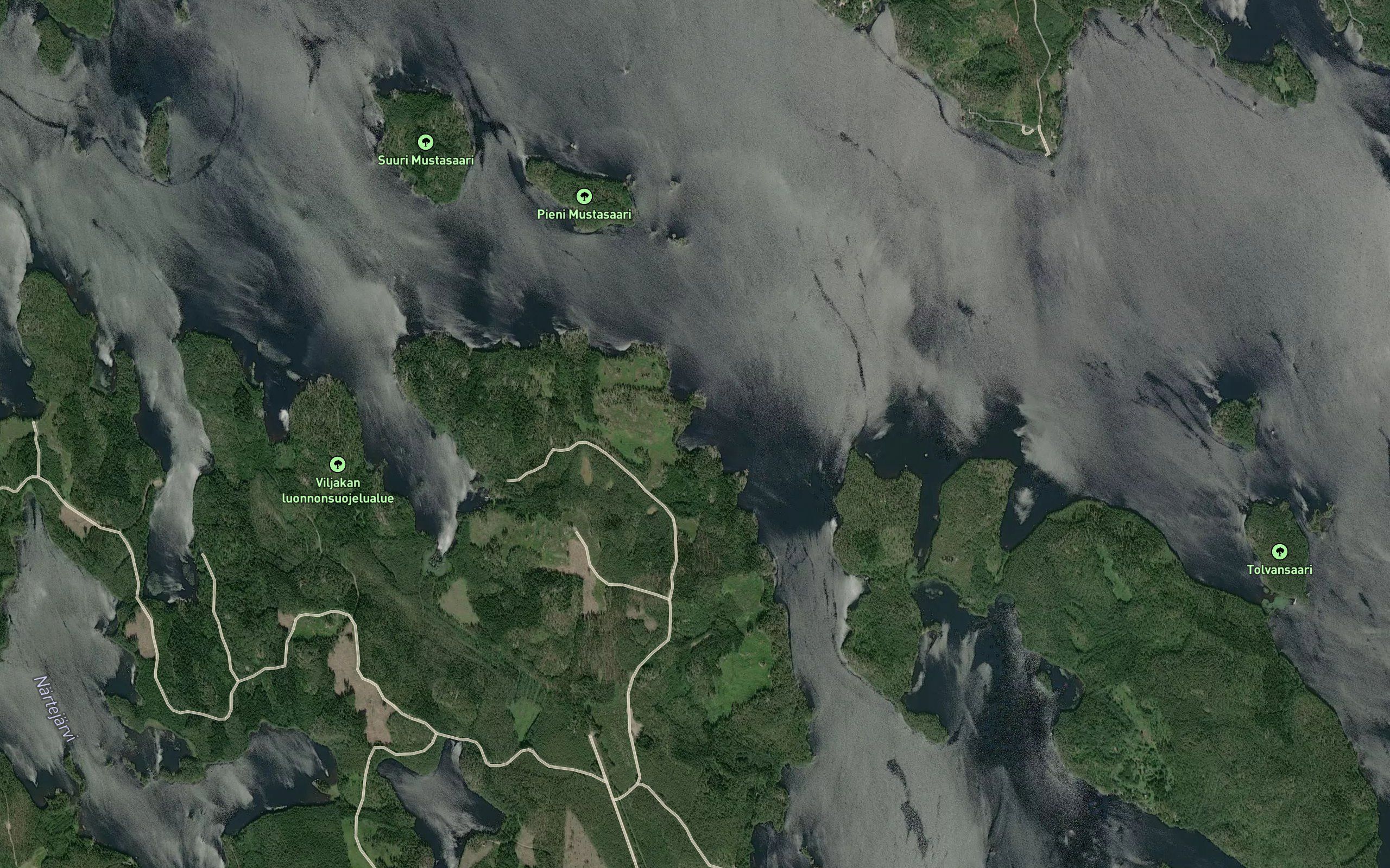 Mustakaarre