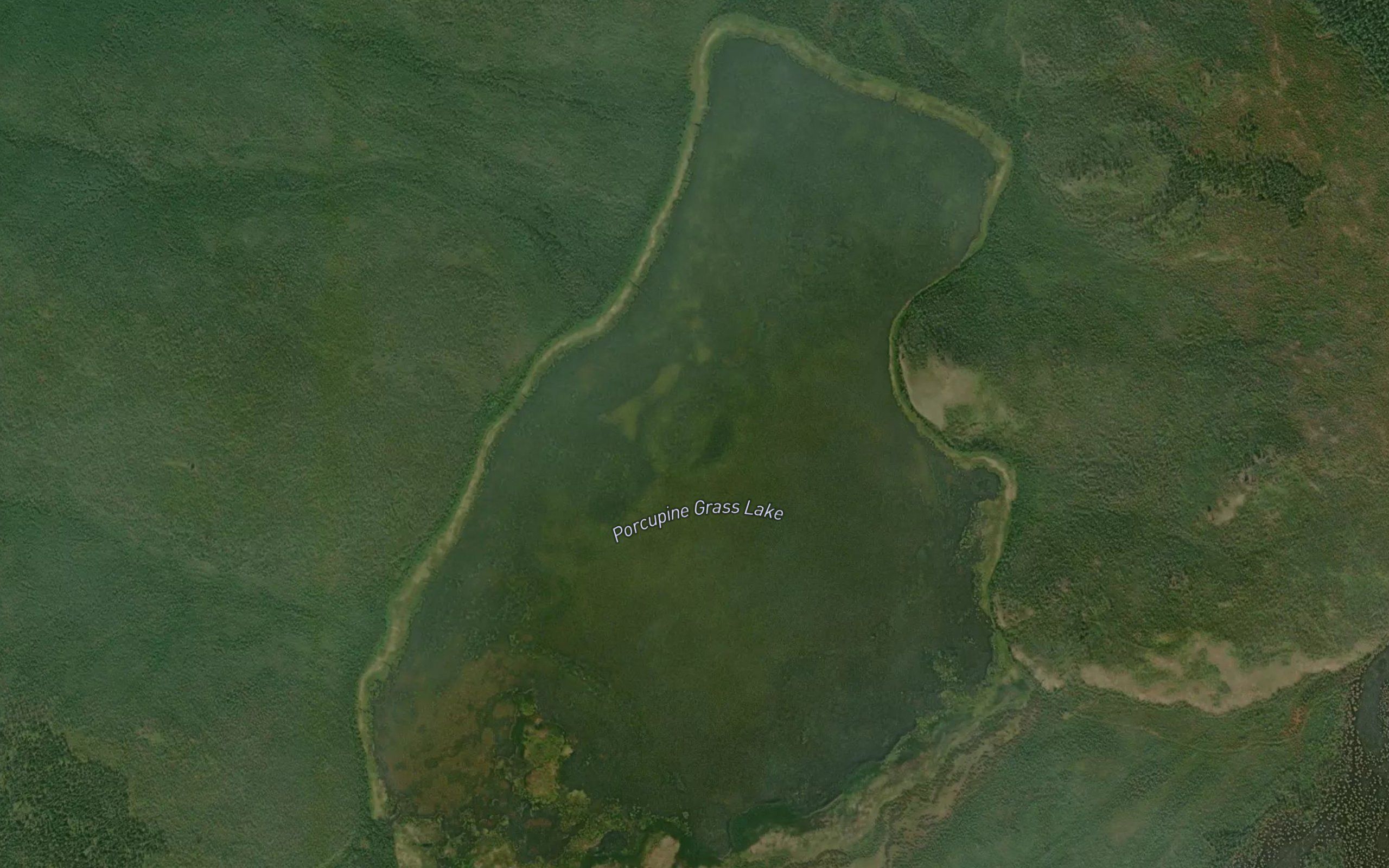 Porcupine Grass Lake