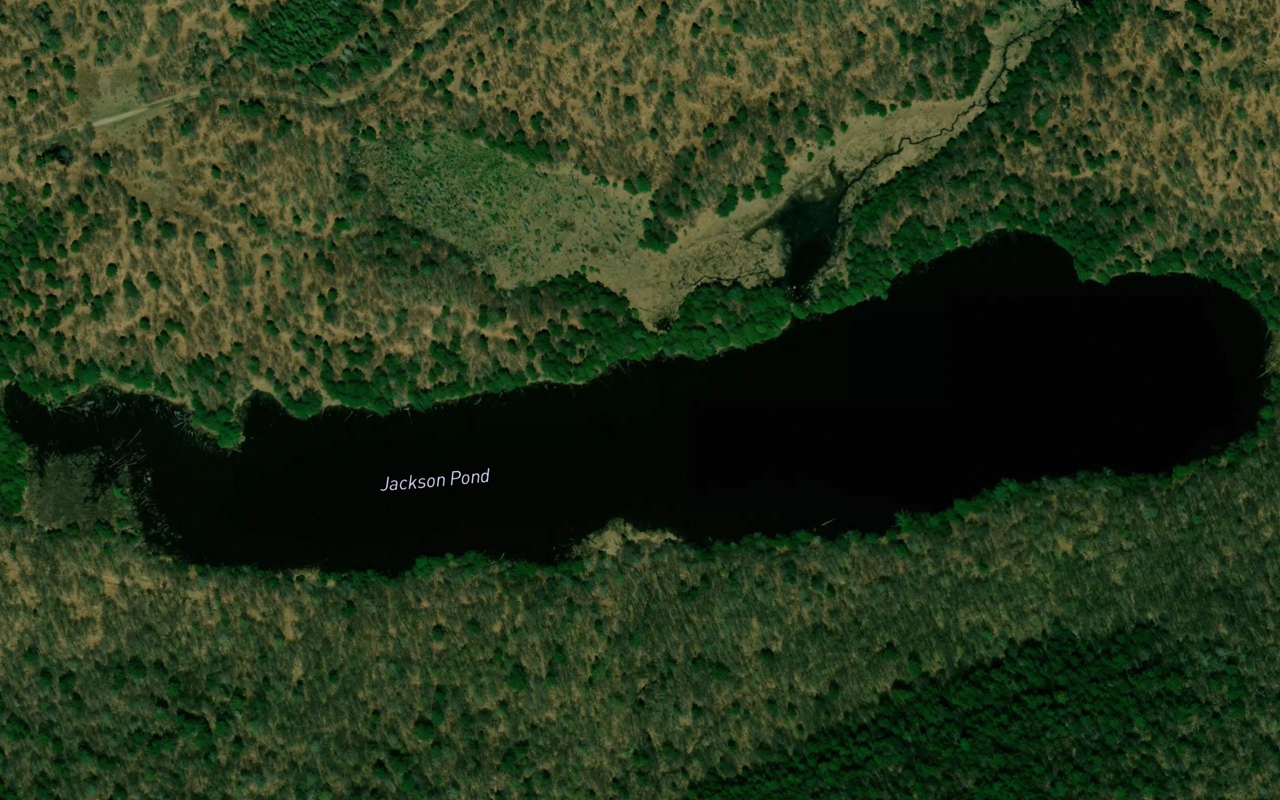 Jackson Pond