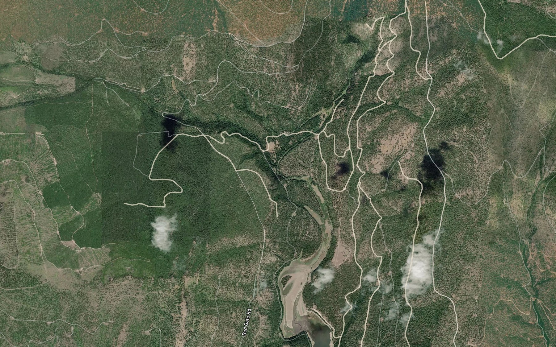 Satellite map of the Tamarack Creek