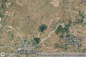 Nong Yang