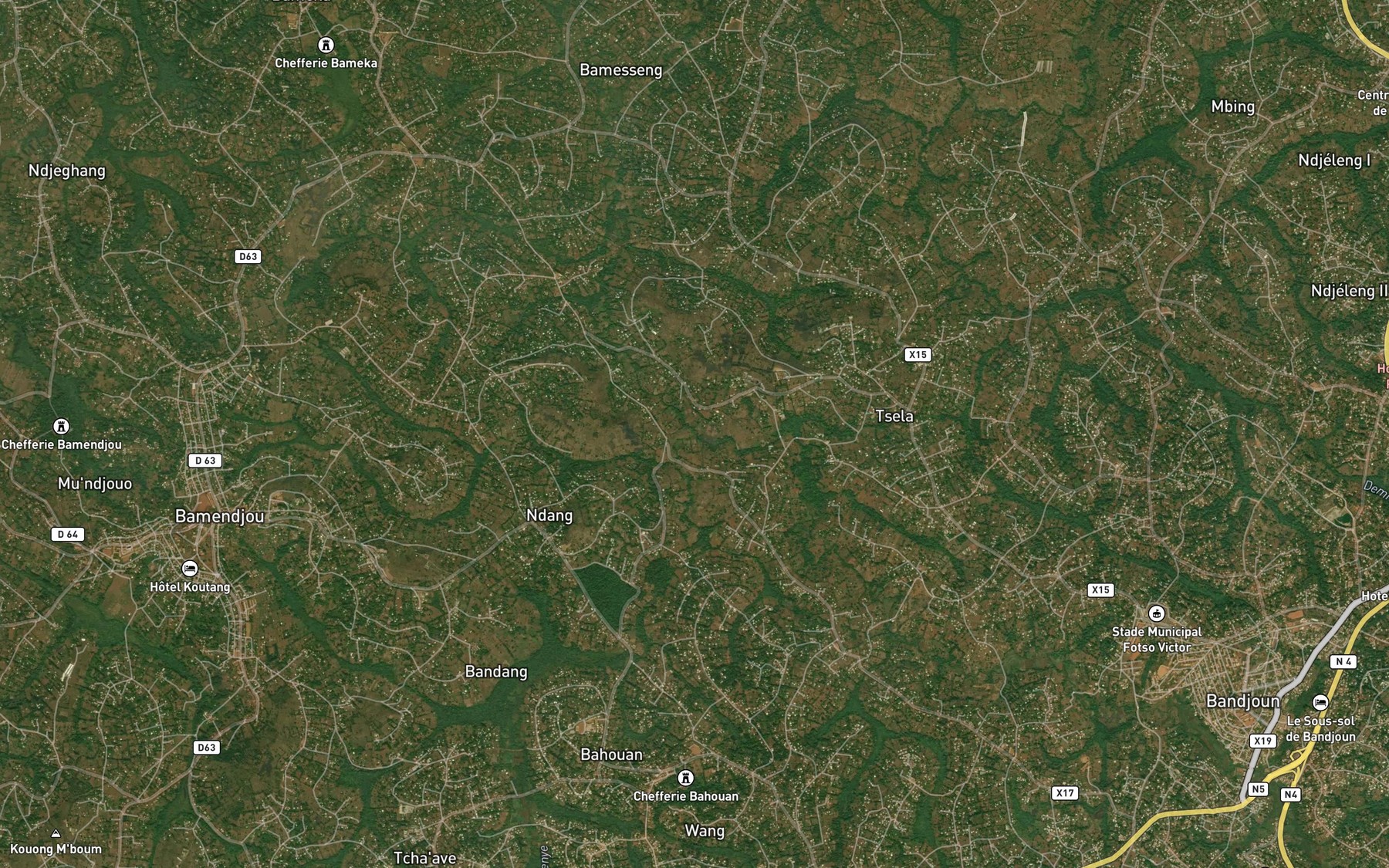 Satellite map of the Lienye