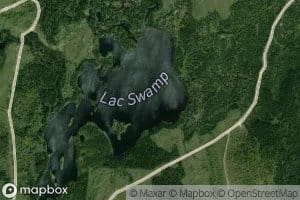 Lac Swamp