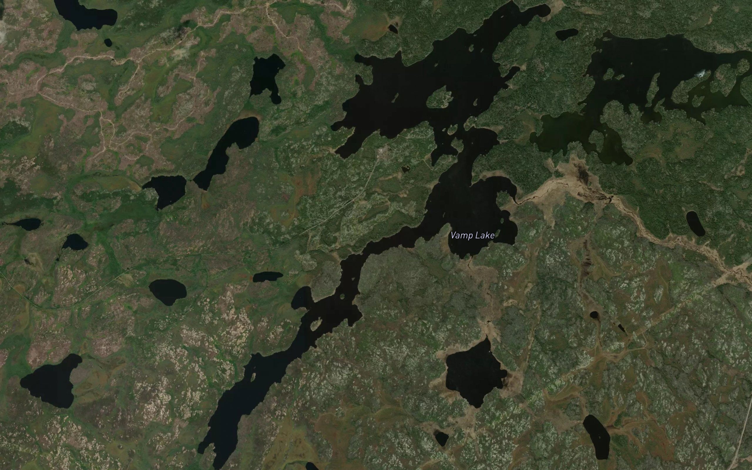 Vamp Lake