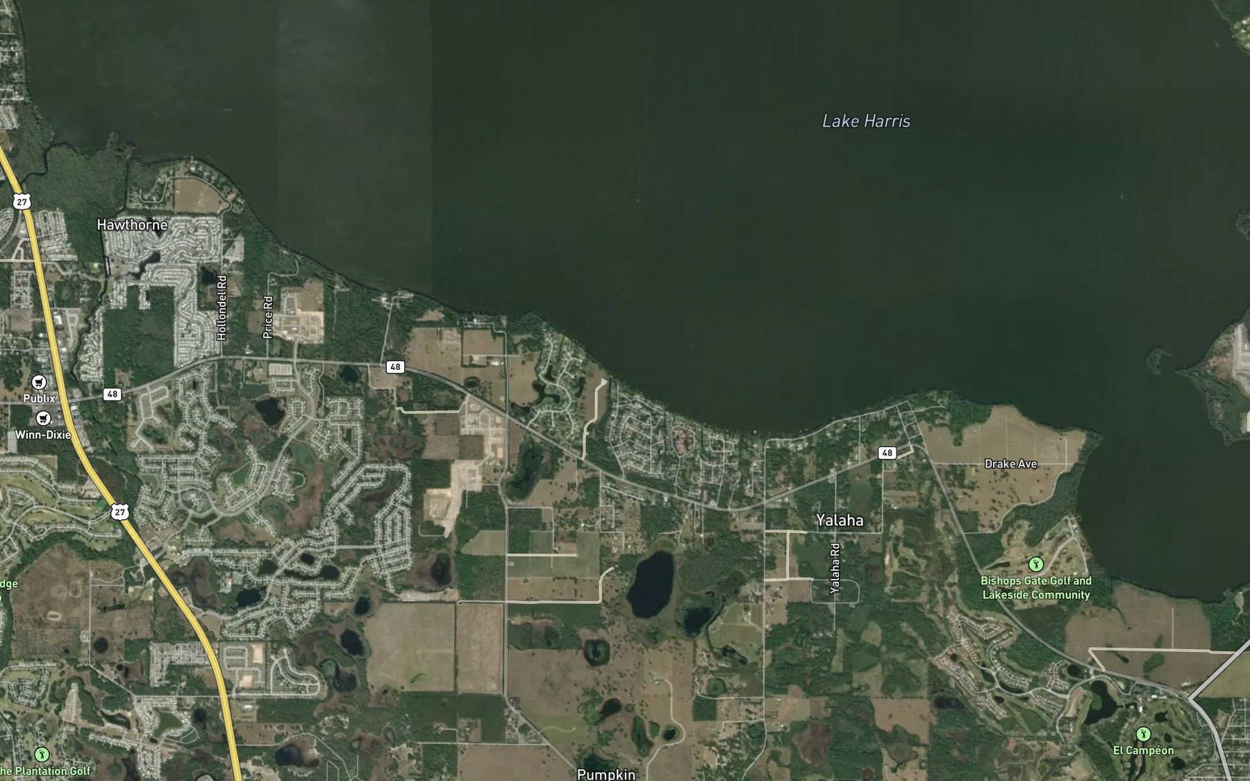 Satellite map of the Blue Springs