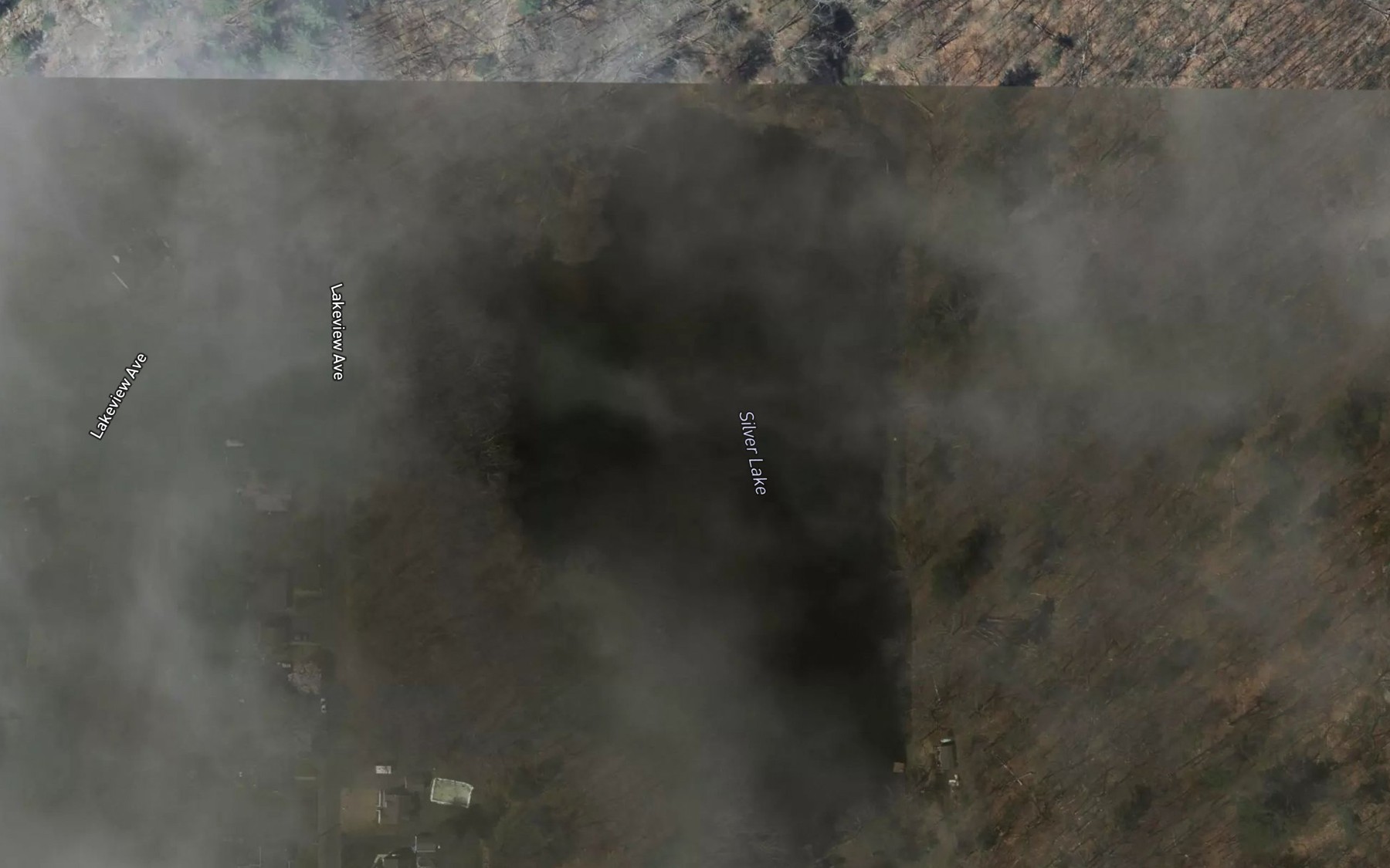 Satellite map of the Silver Lake