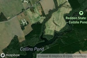 Smith-Short and Willin Ditch