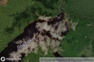 Bog Lake