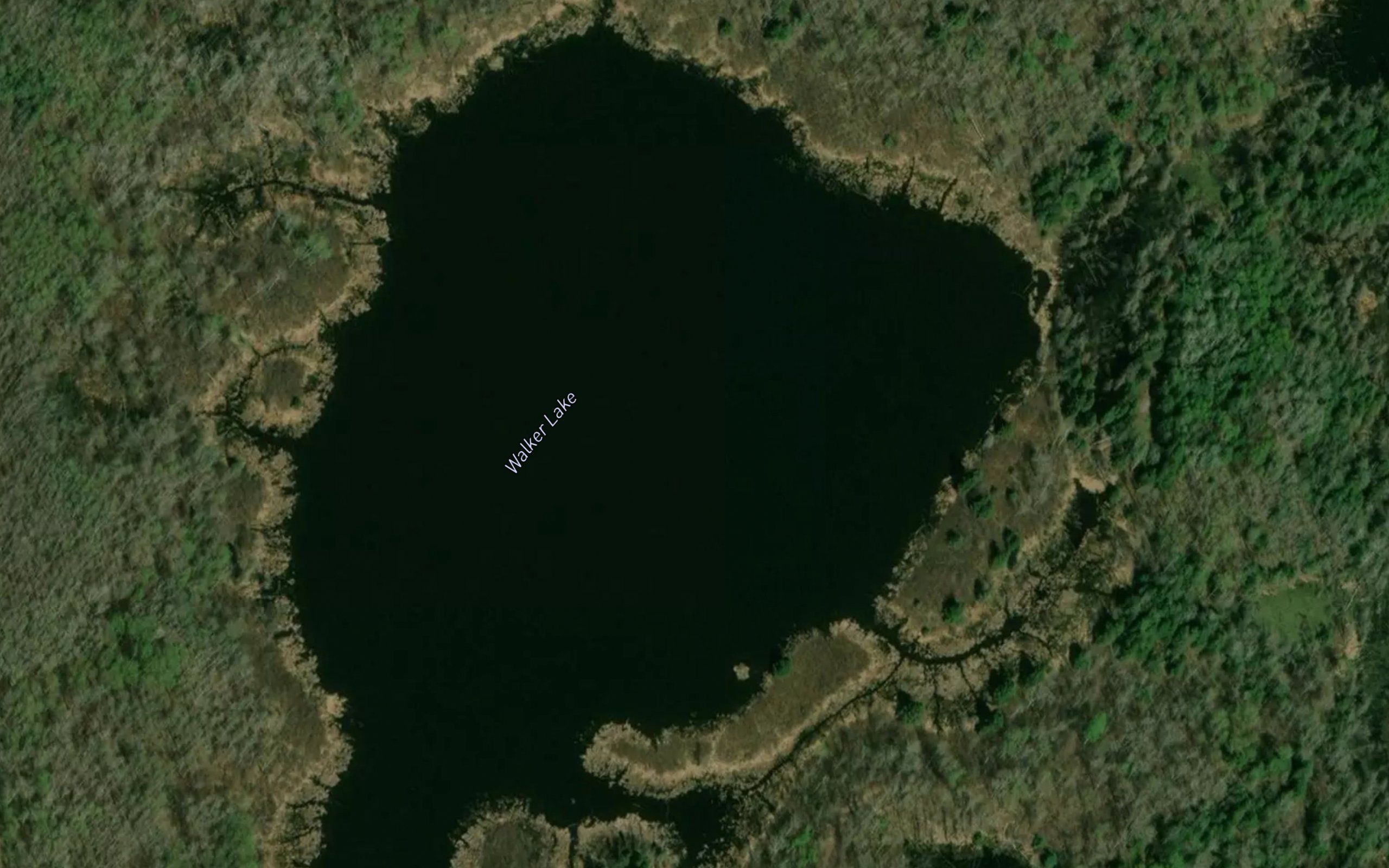 Walker Lake