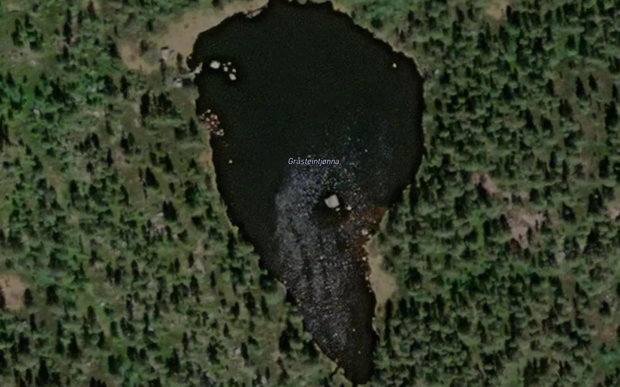 Grasteintjonna