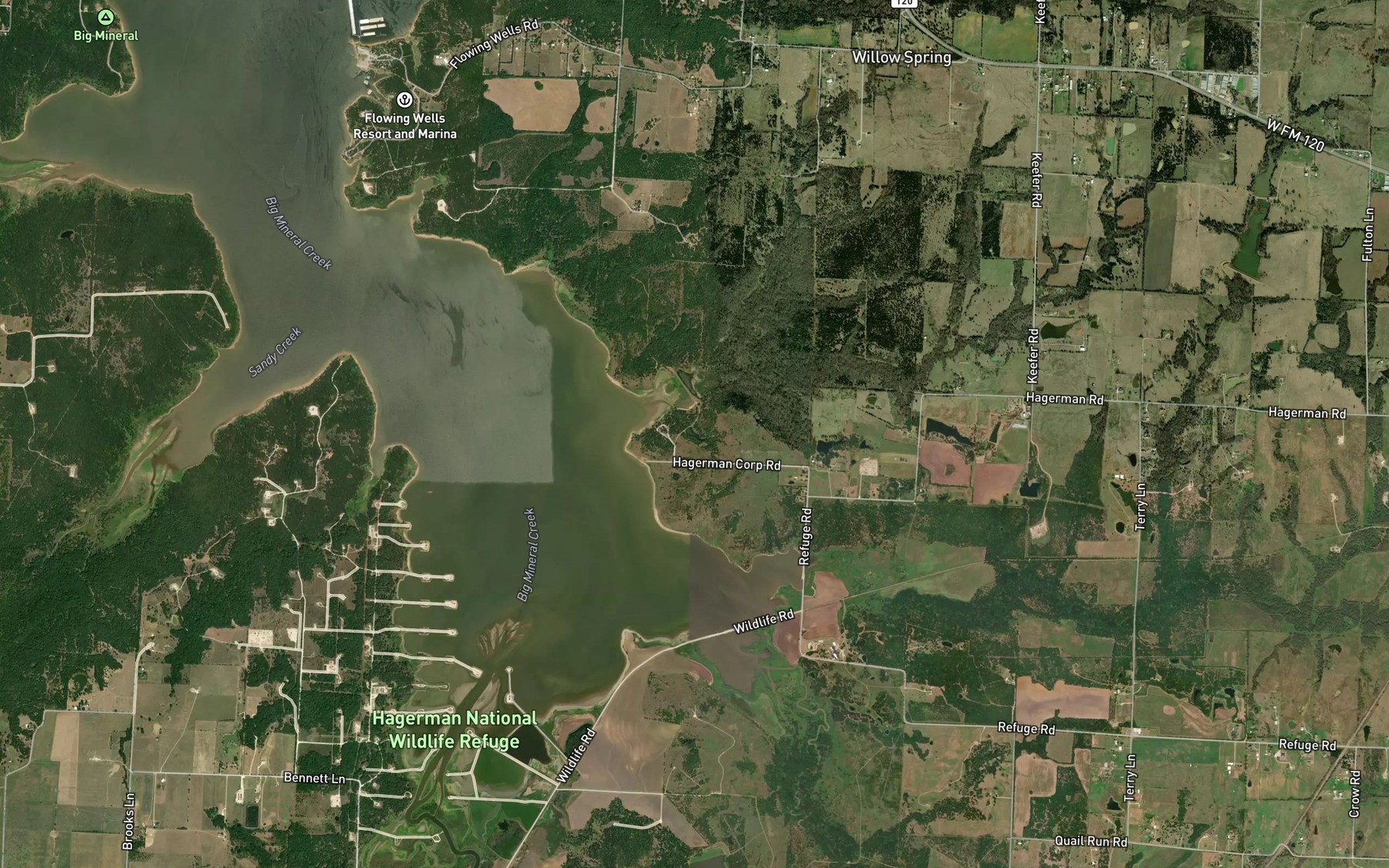Satellite map of the Picnic Pond