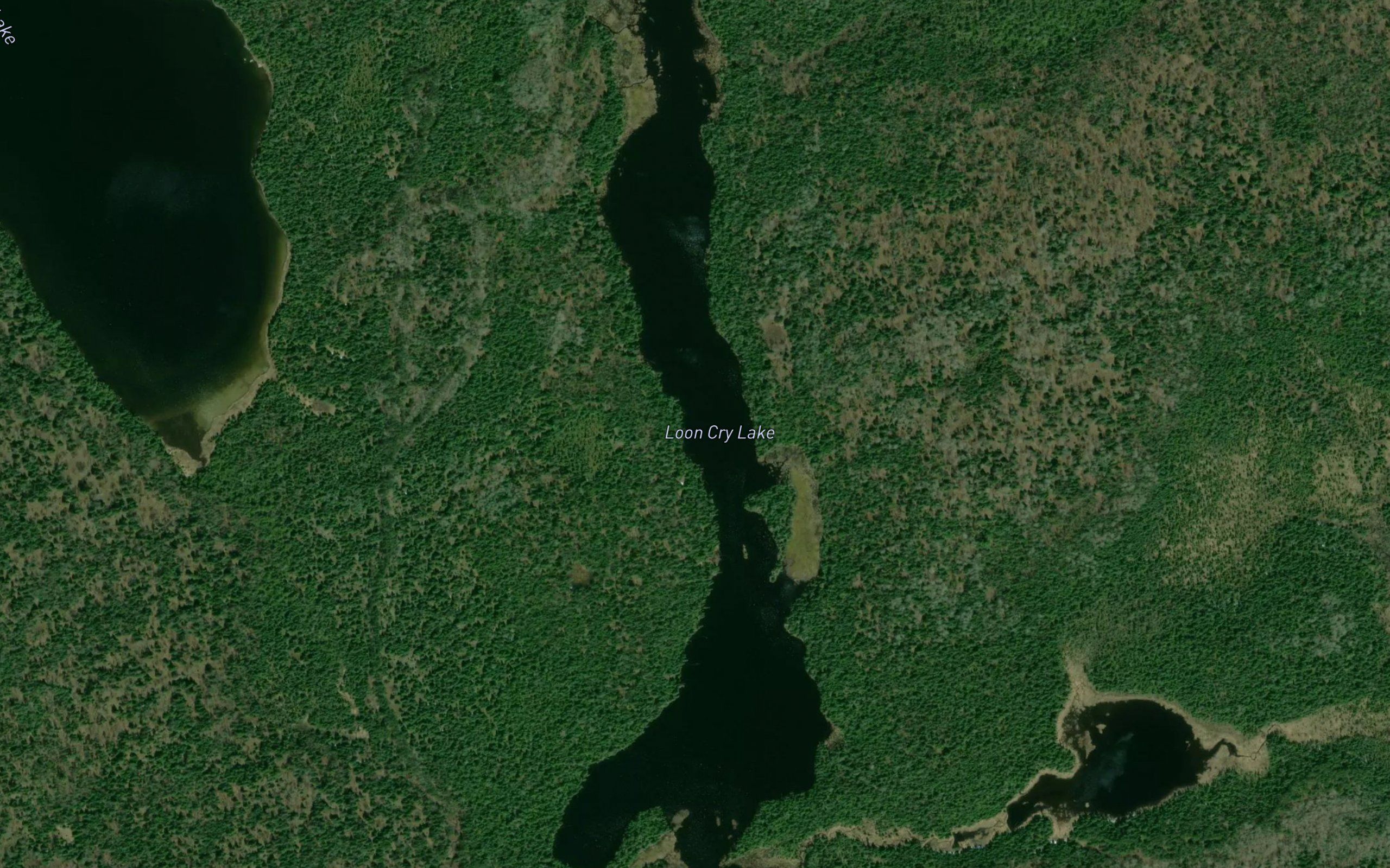 Loon Cry Lake