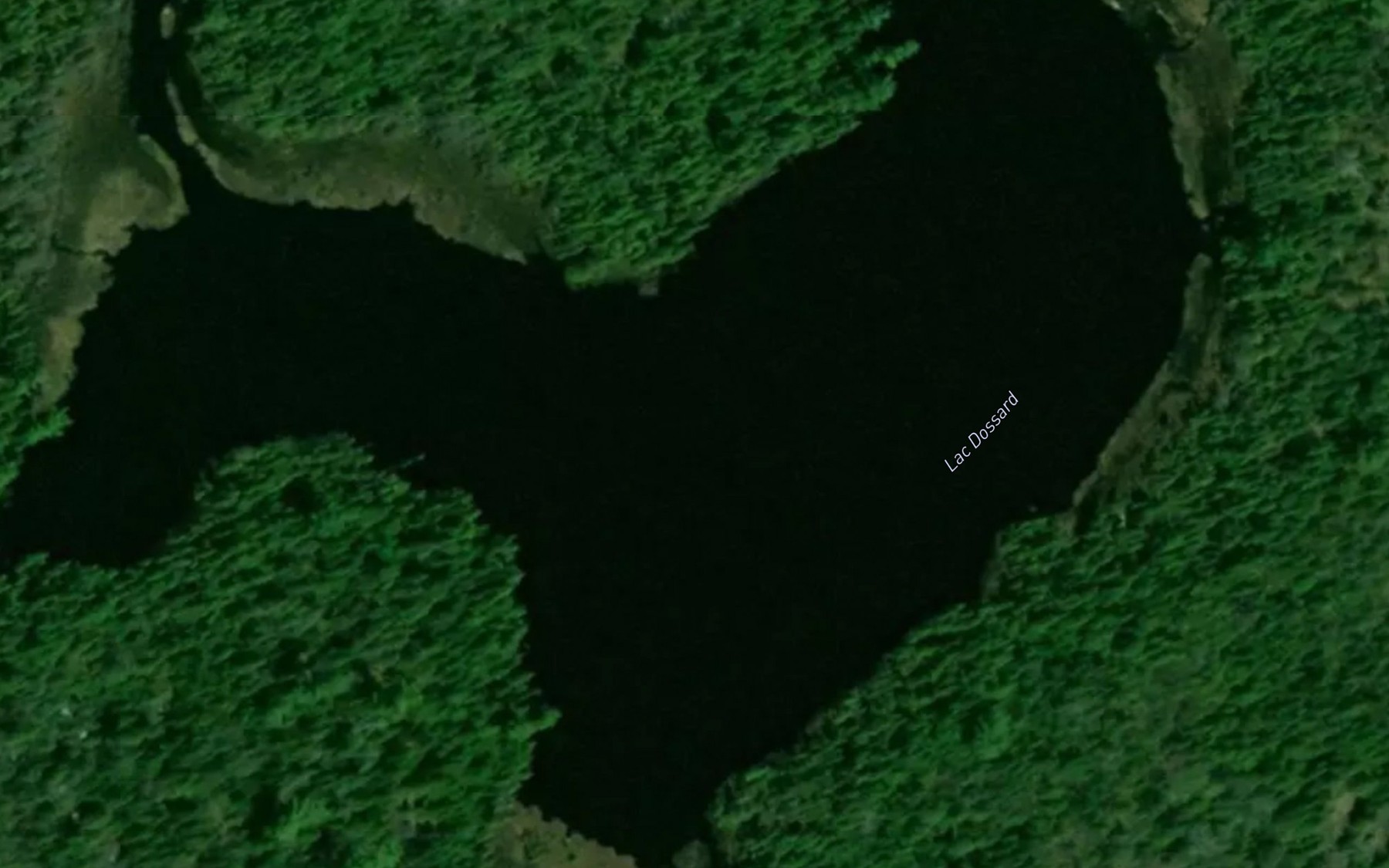 Satellite map of the Lac Dossard