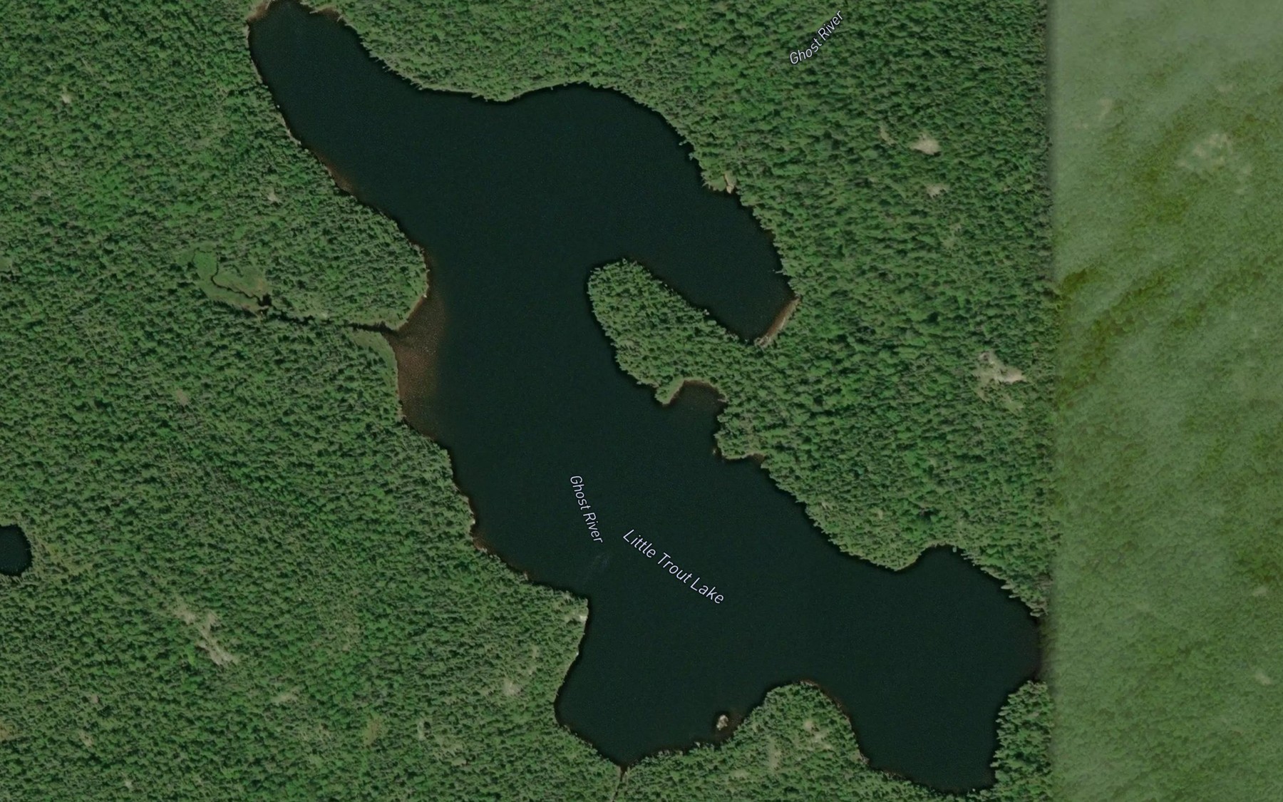 Satellite map of the Little Trout Lake