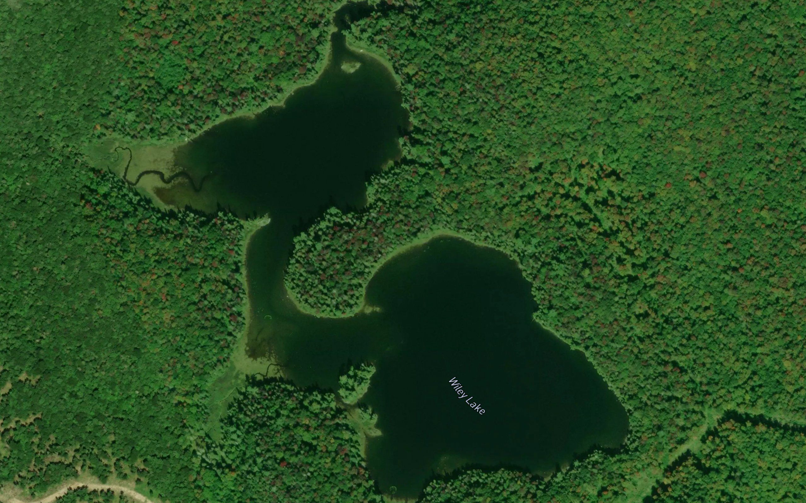 Wiley Lake