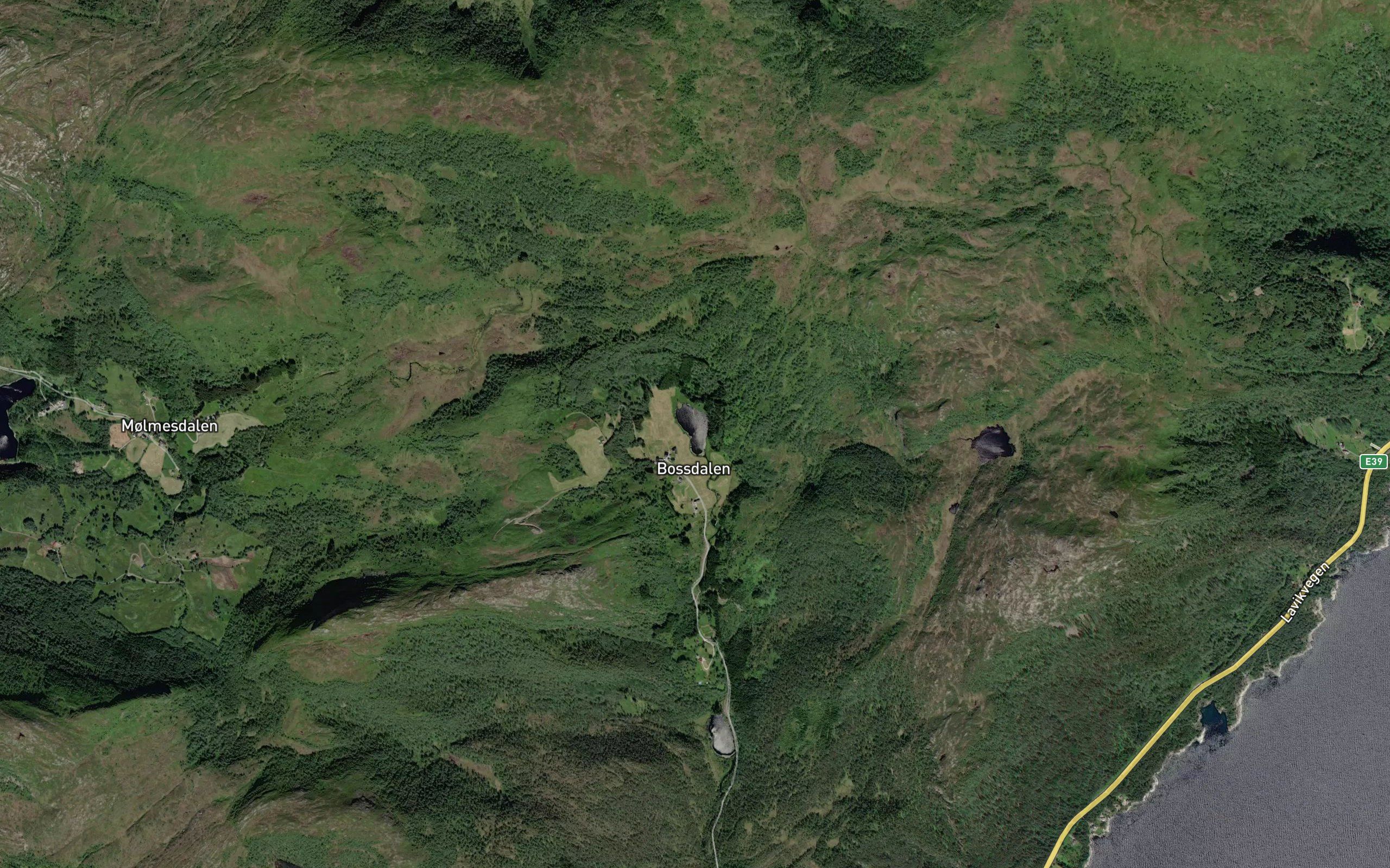 Bossdalstjorna
