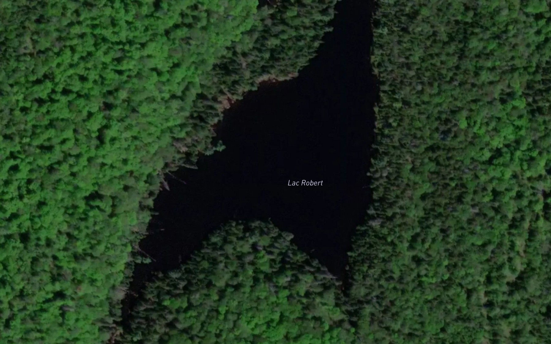 Satellite map of the Lac Robert