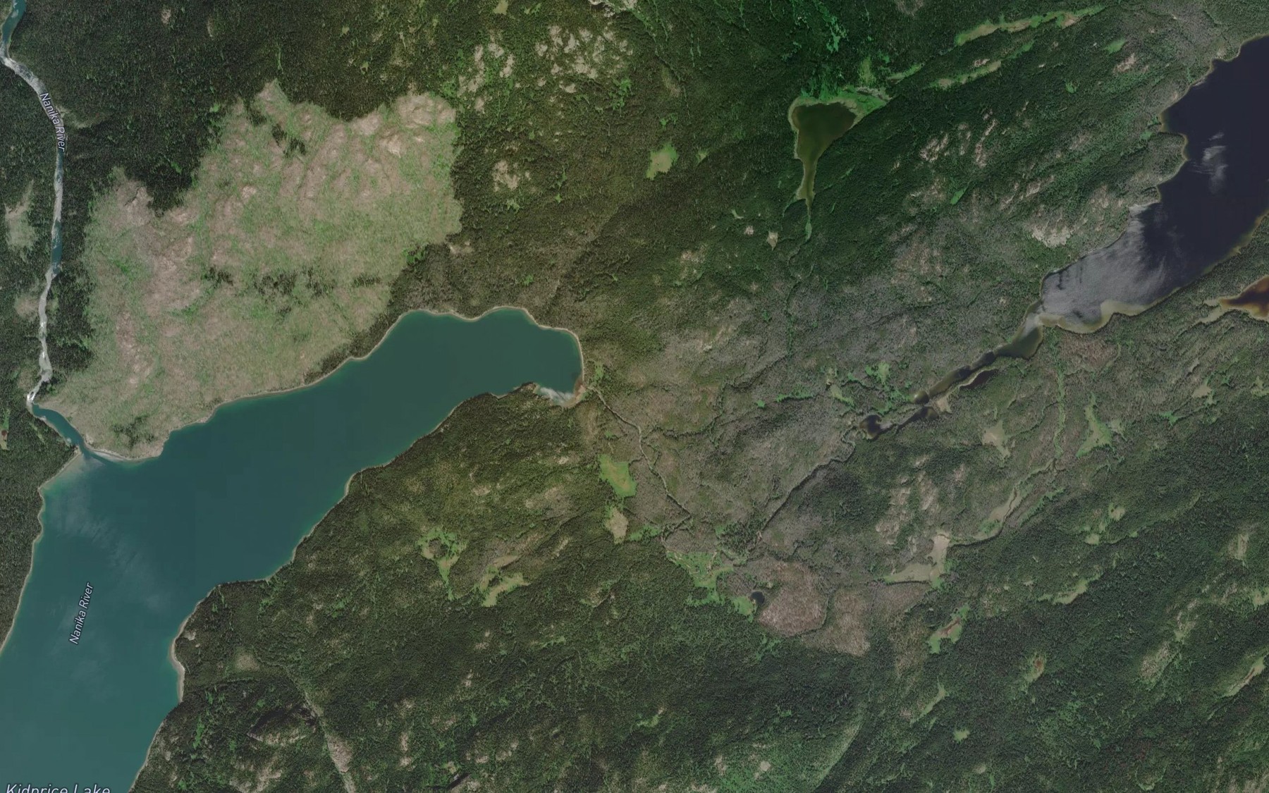 Satellite map of the Stepp Creek