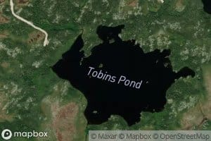 Tobins Pond