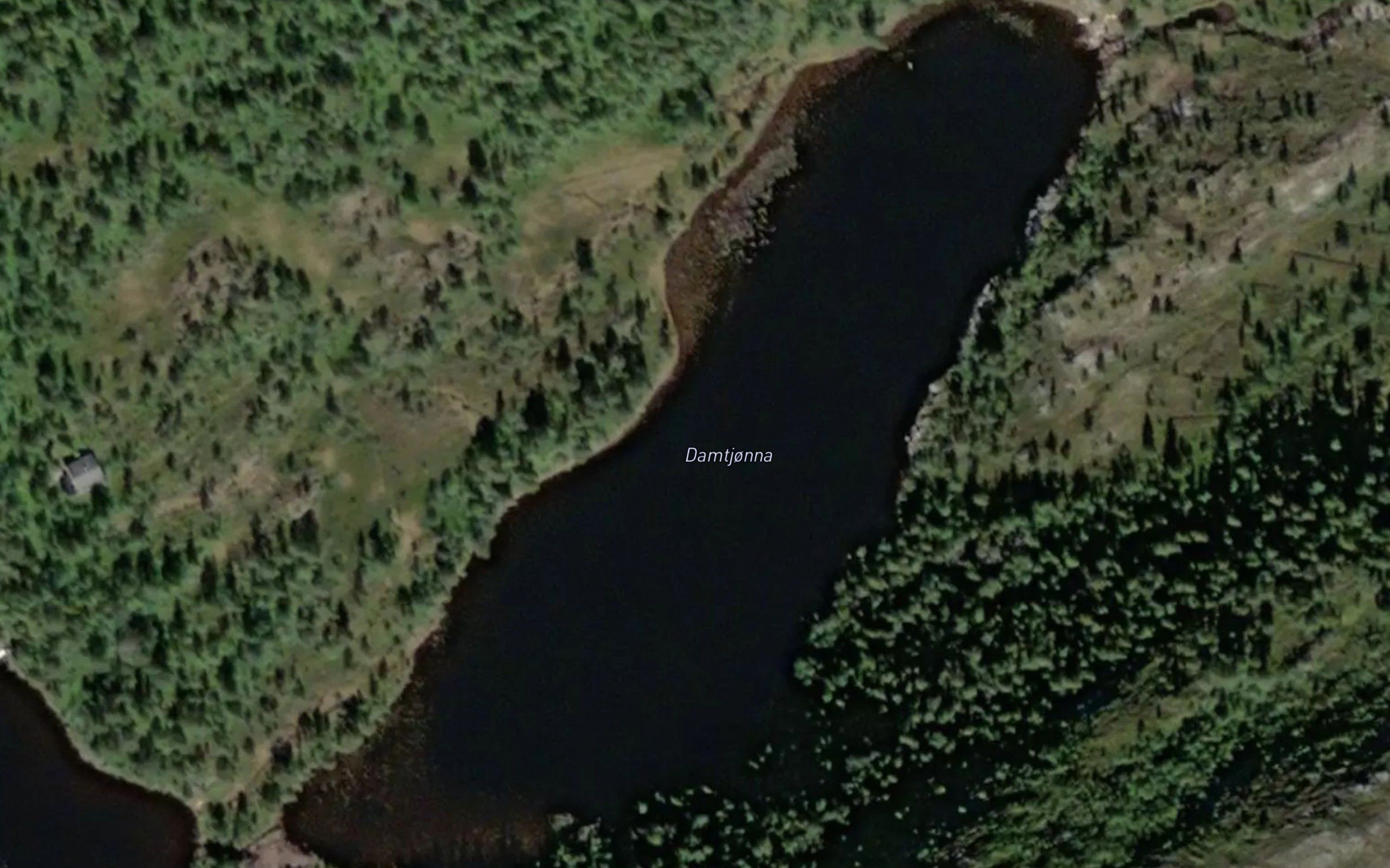 Damtjorna