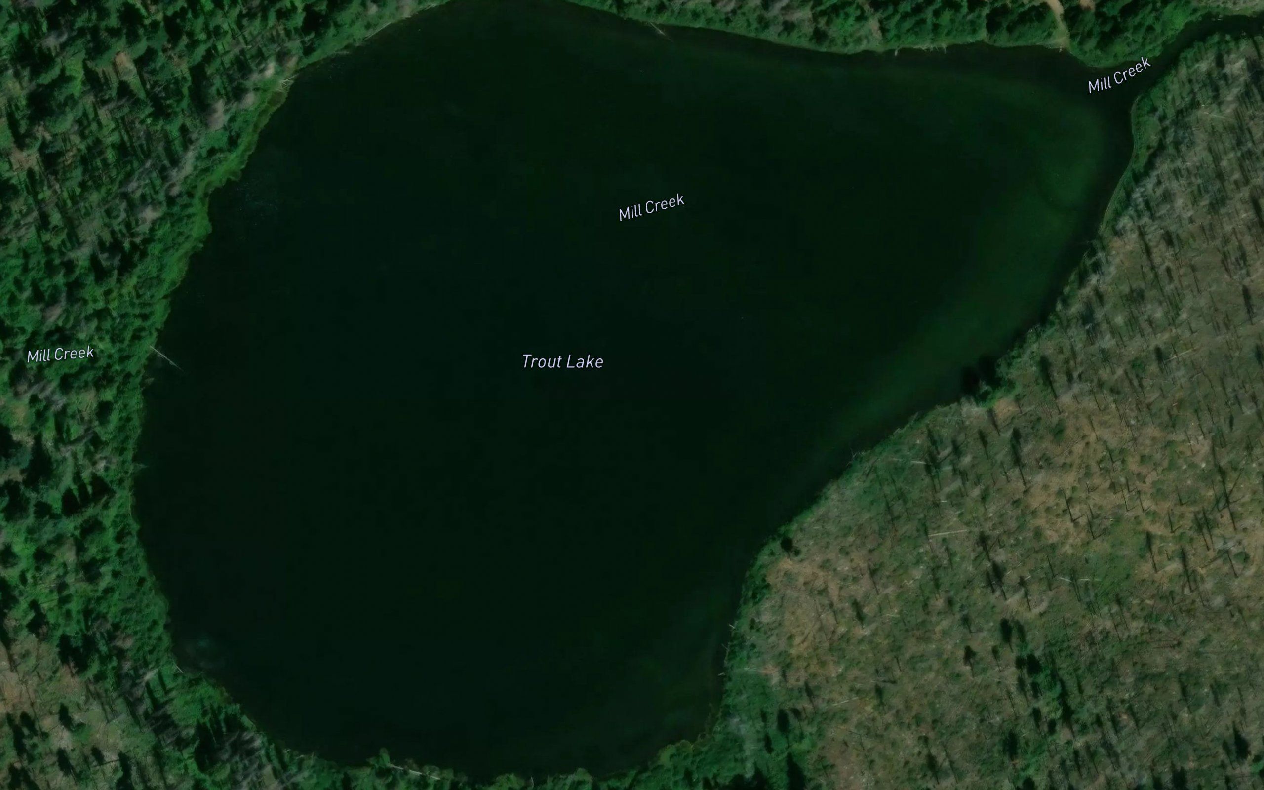 Trout Lake