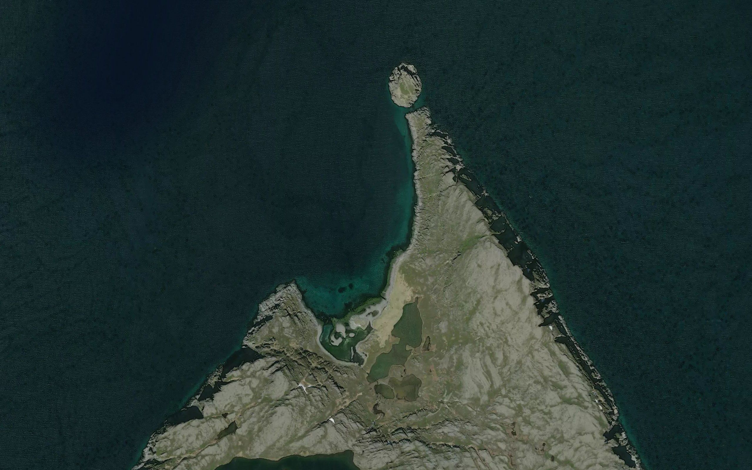 Kongelvika