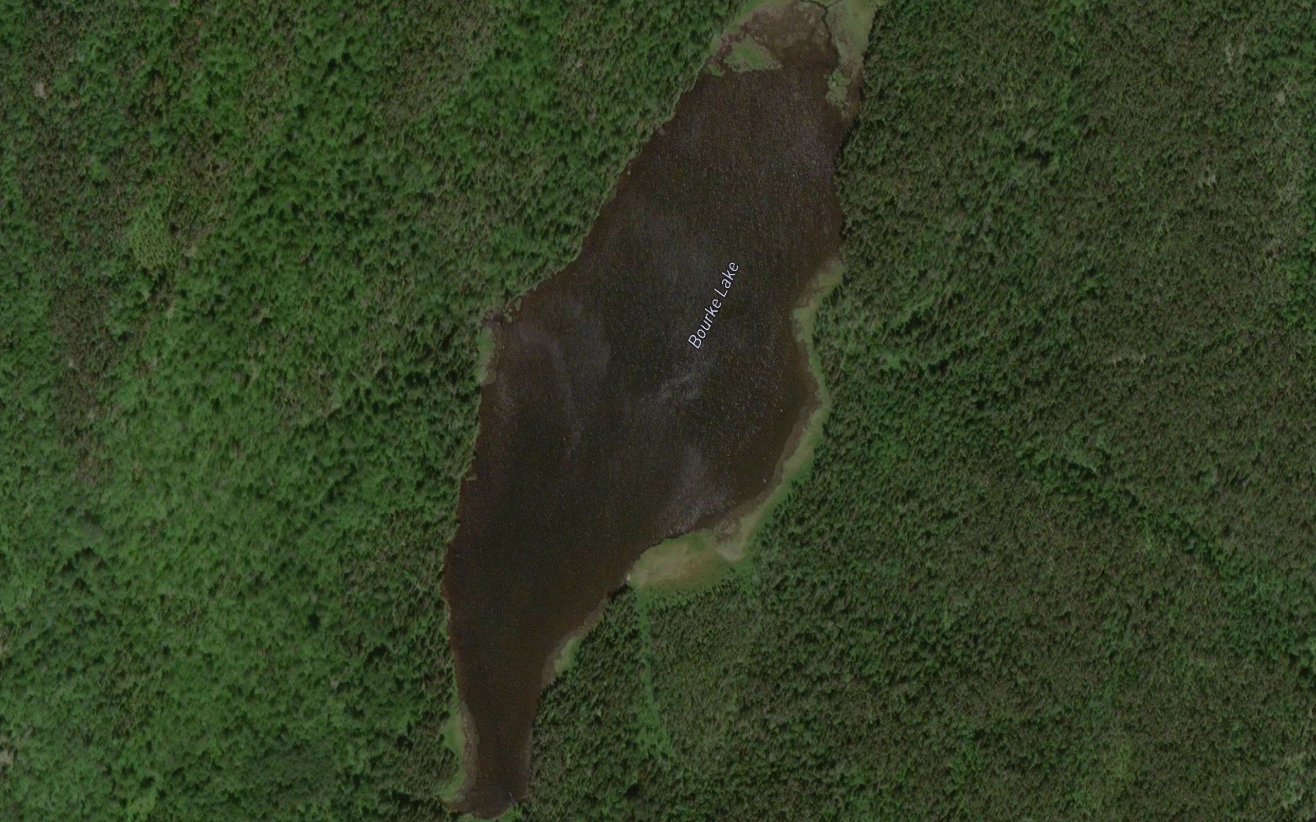 Bourke Lake
