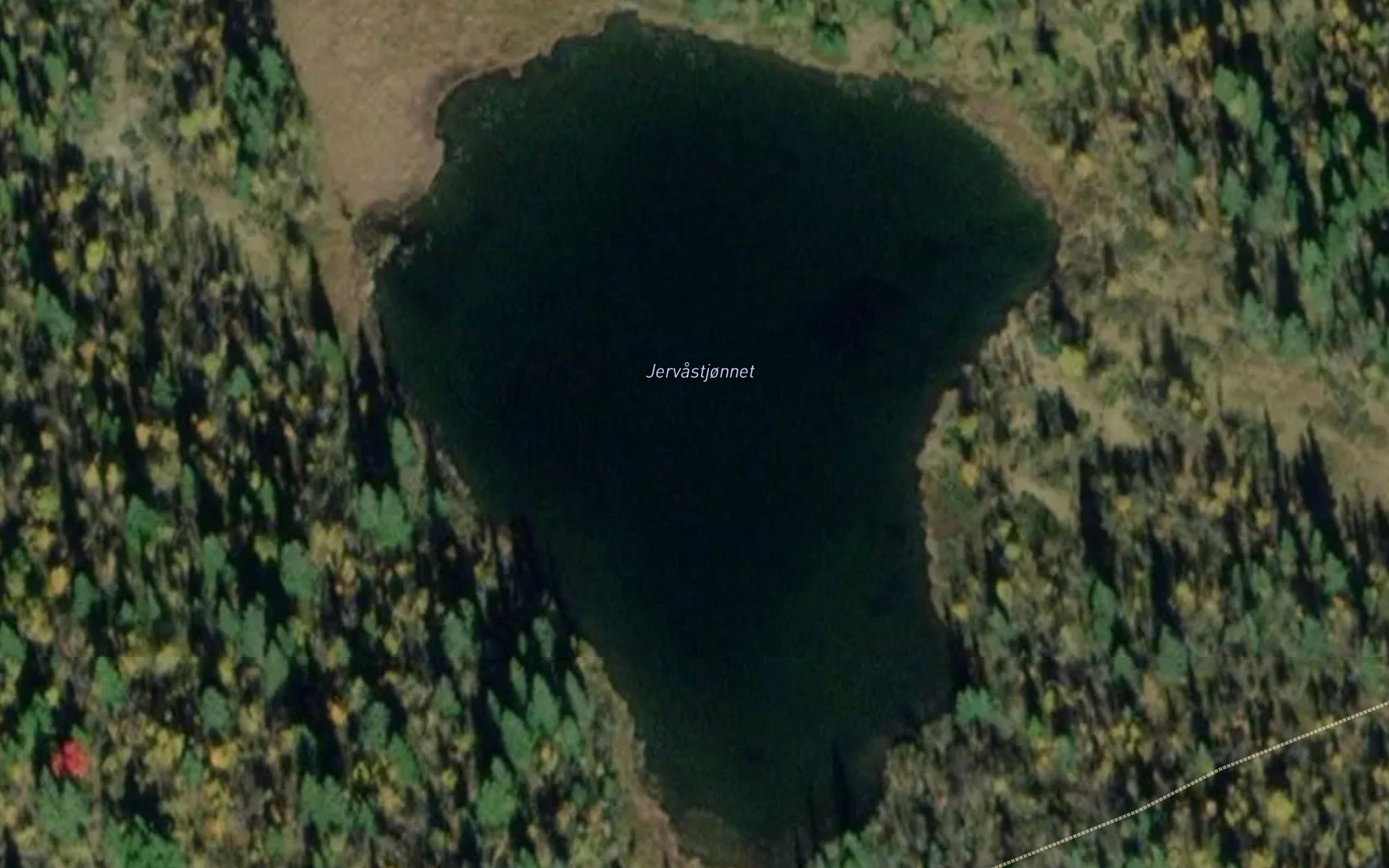 Jervastjornet