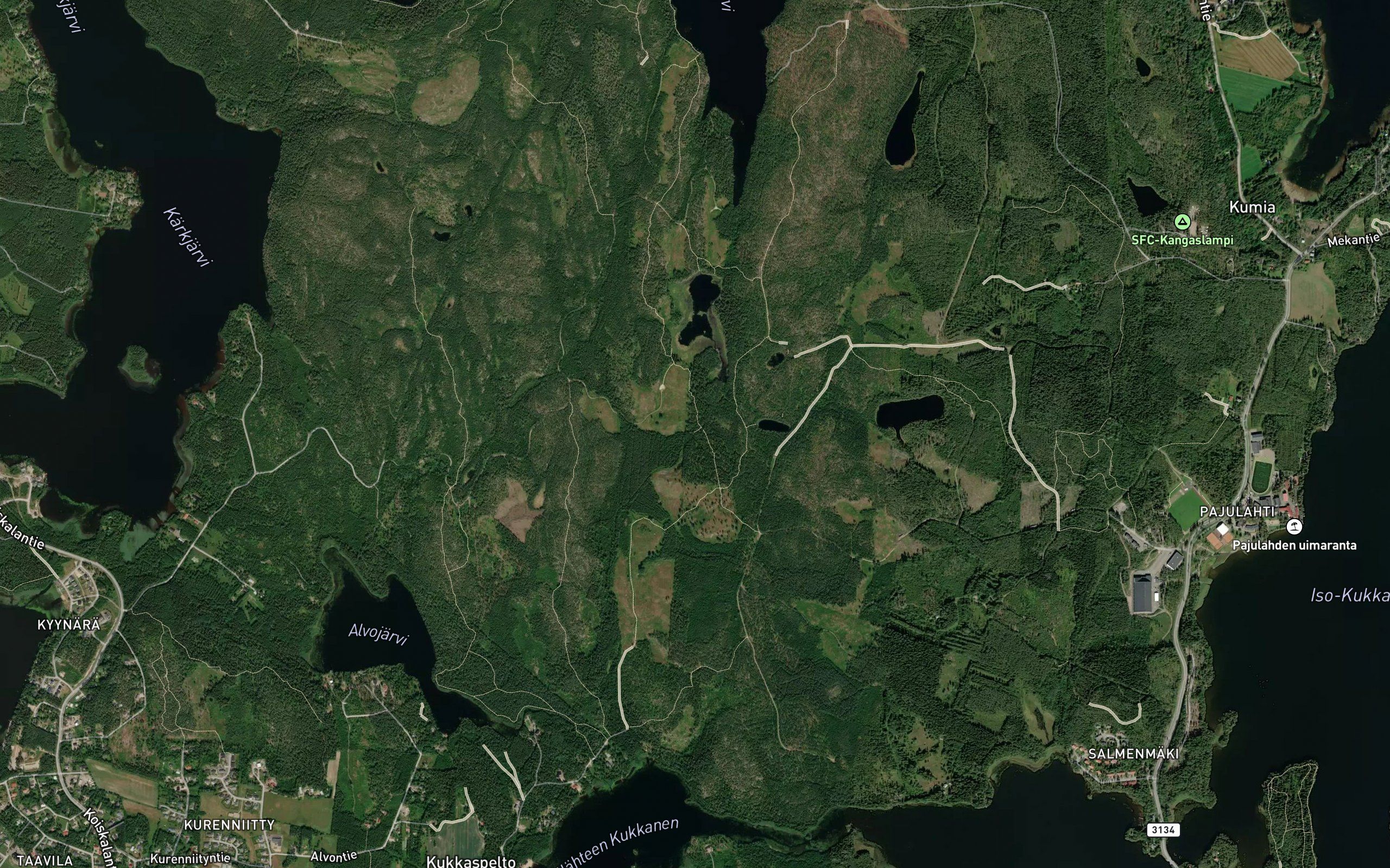 Kinnankoski