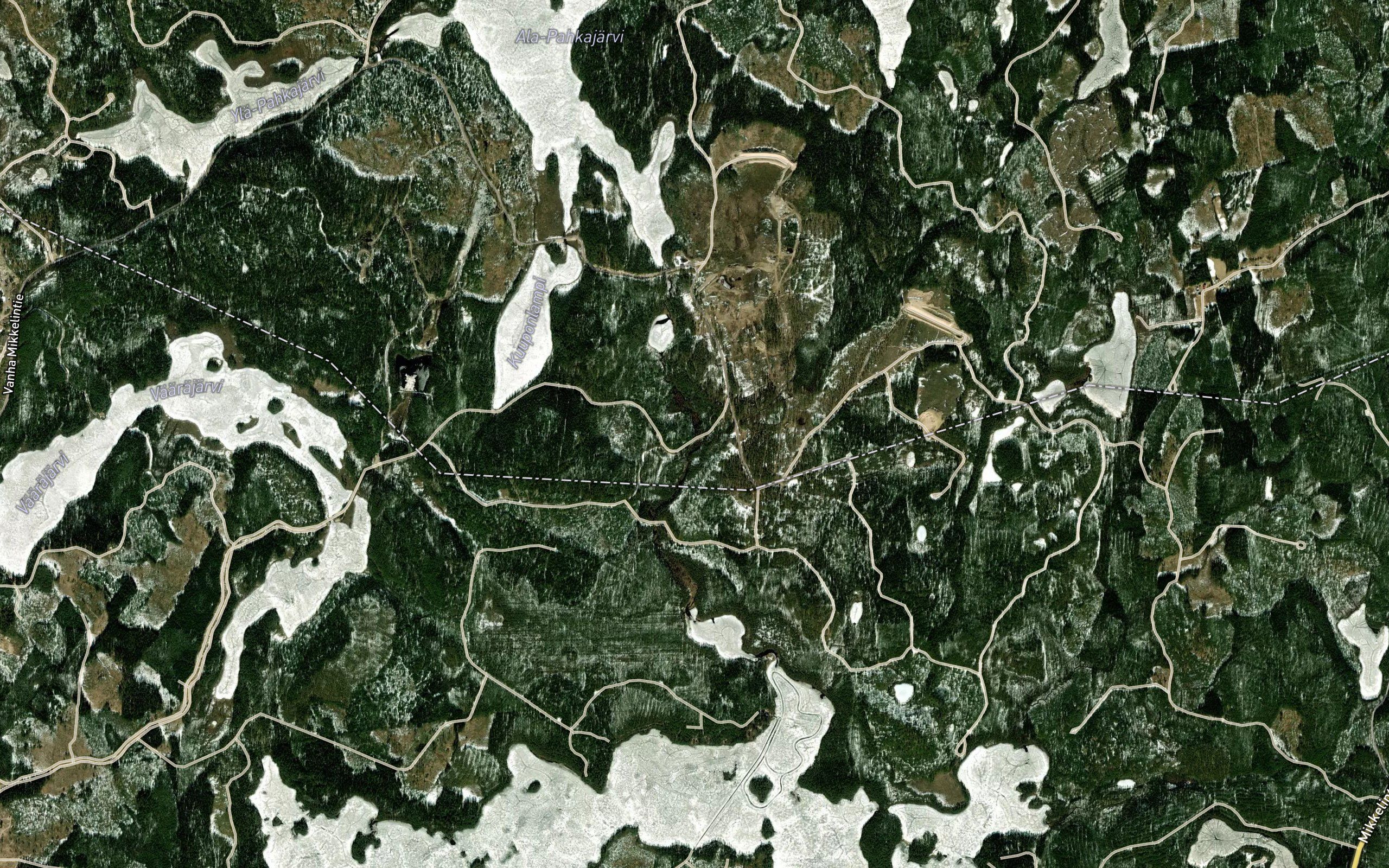 Valkialamminoja