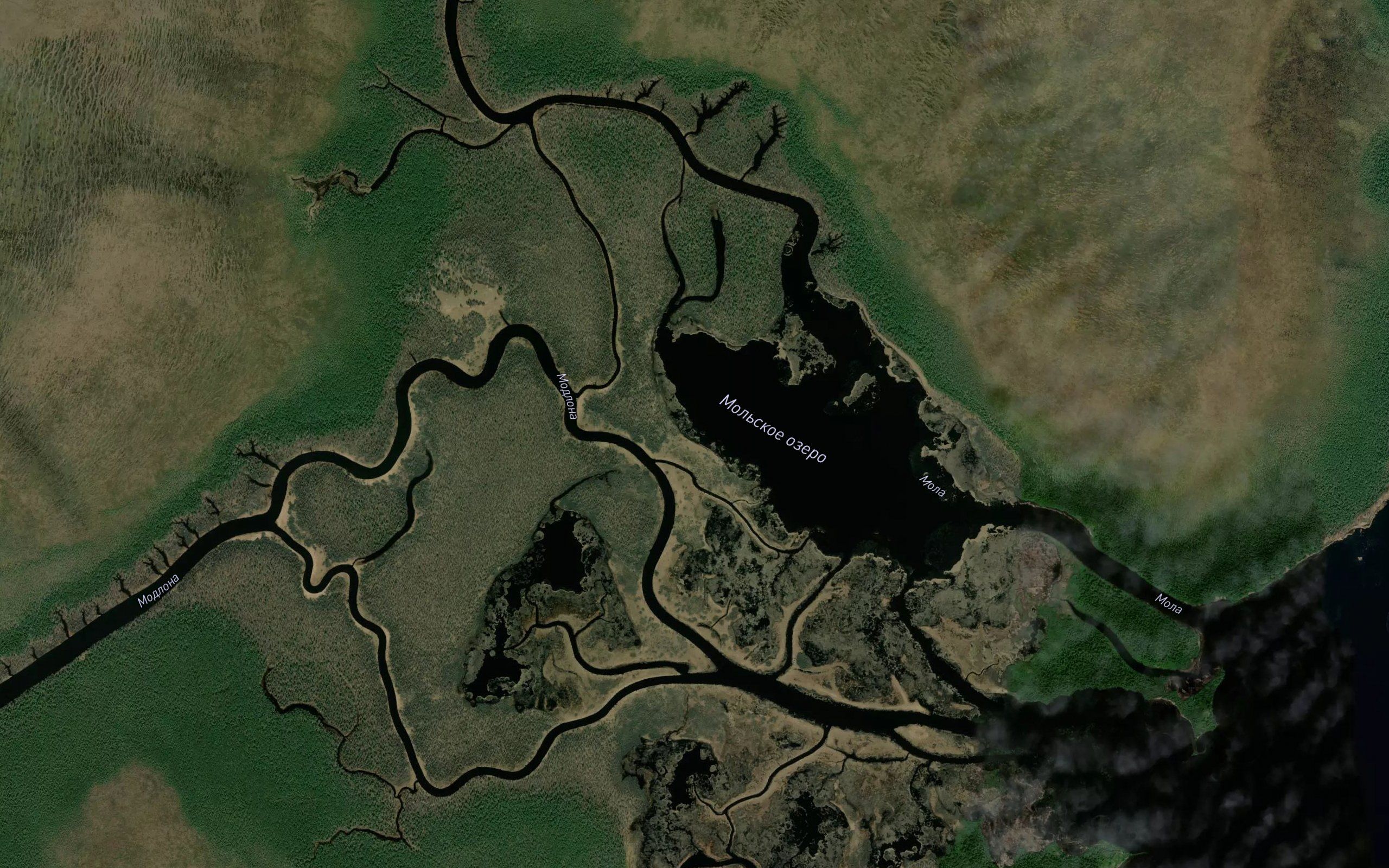 Mola