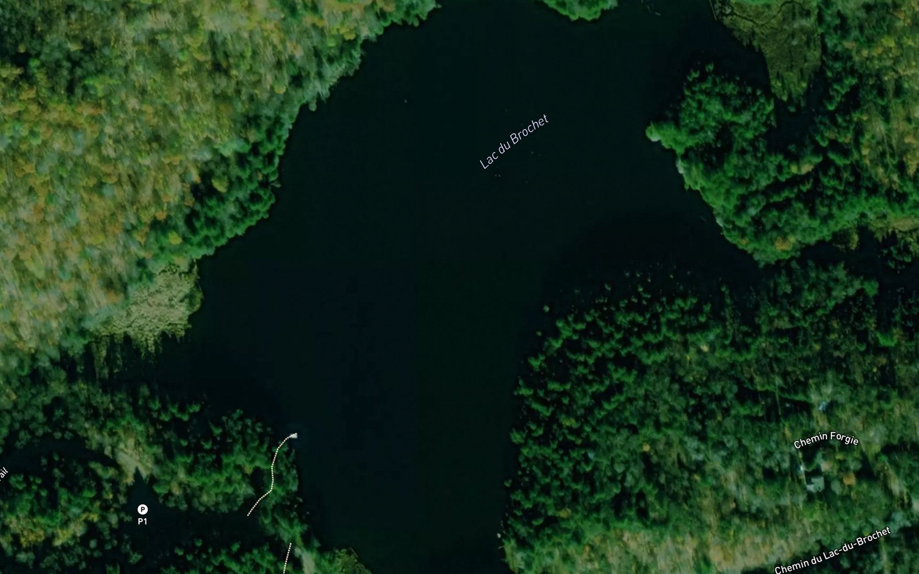 Satellite map of the Lac du Brochet