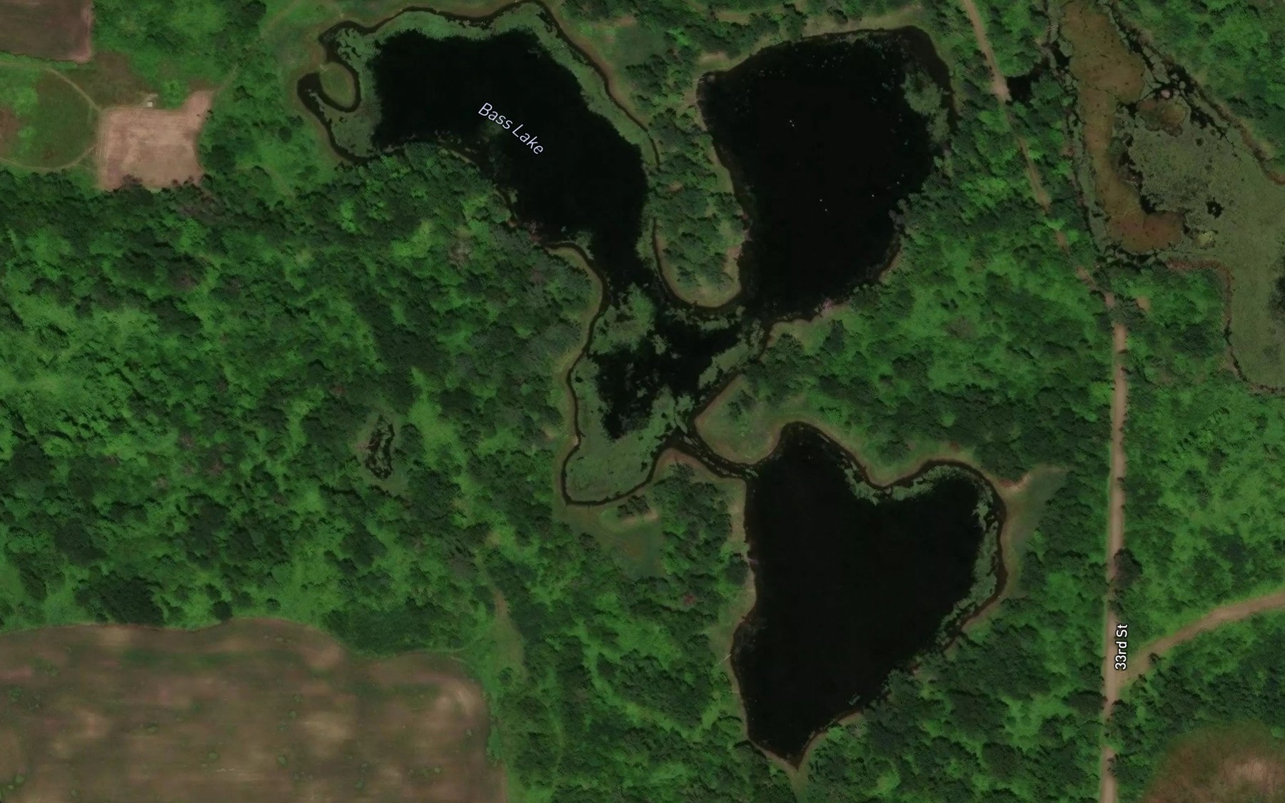 Satellite map of the Bass Lake