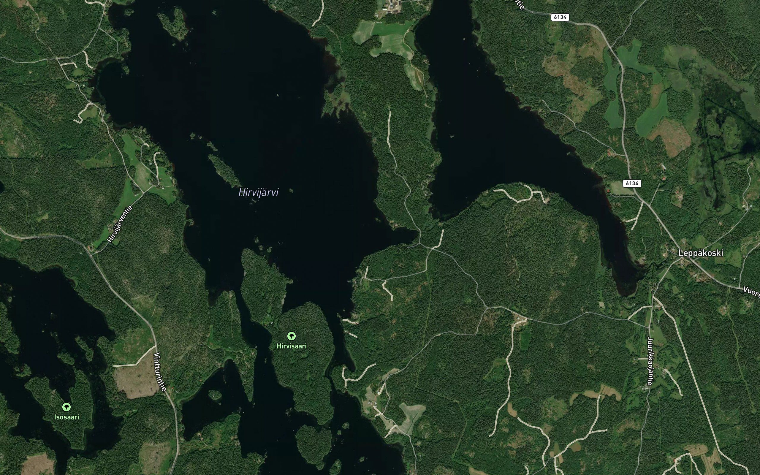 Konttisyva