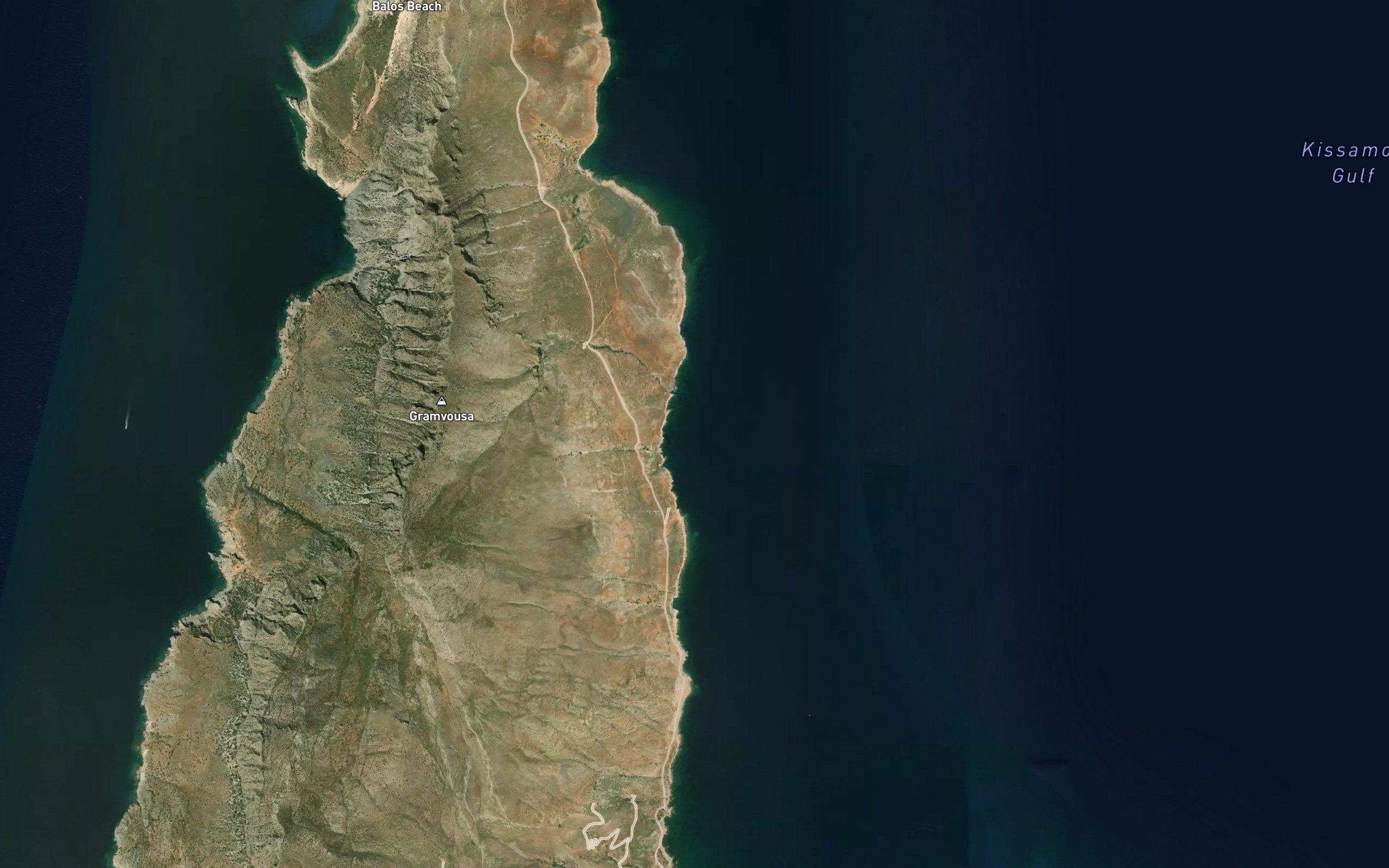 Petronia