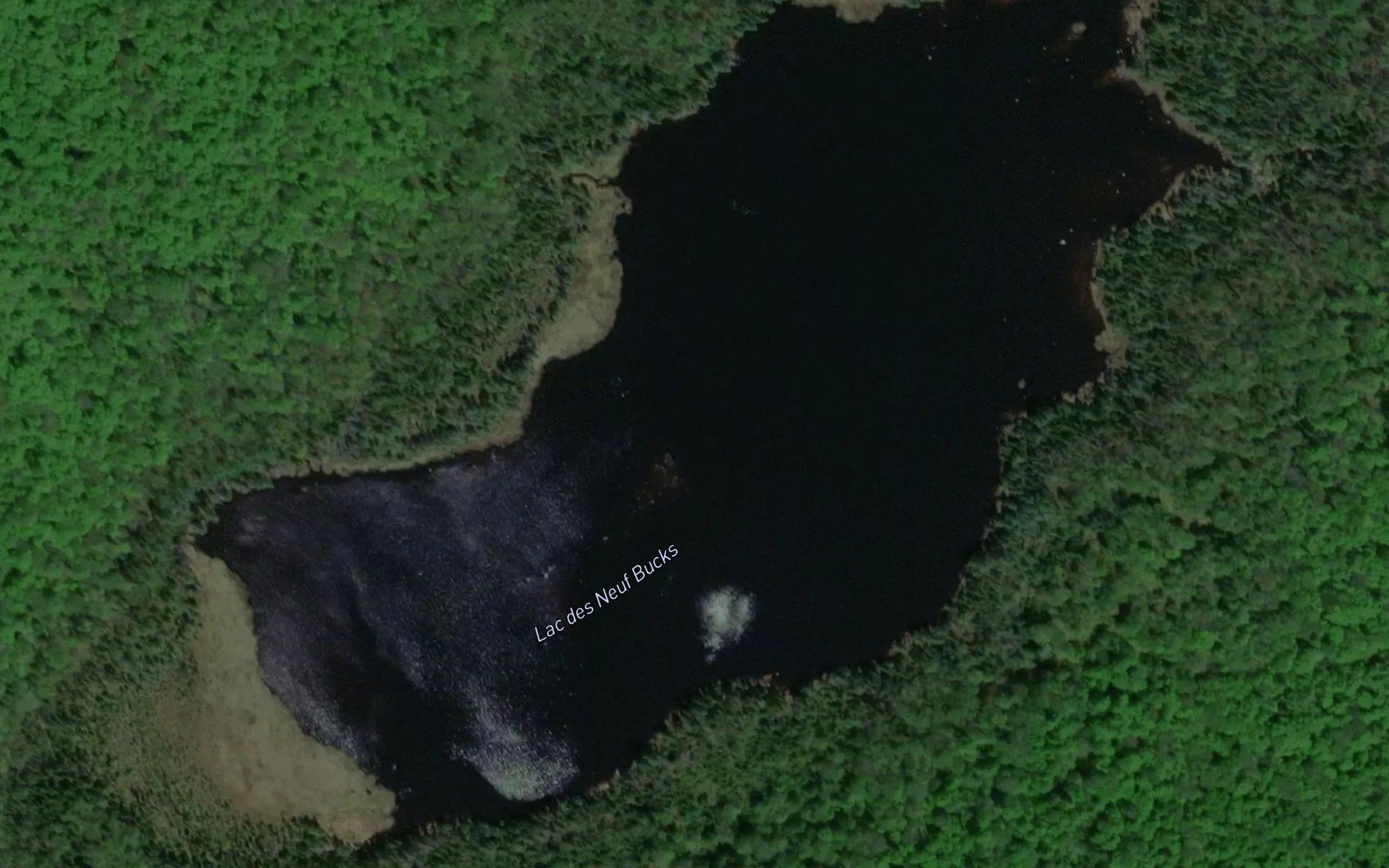 Lac des Neuf Bucks
