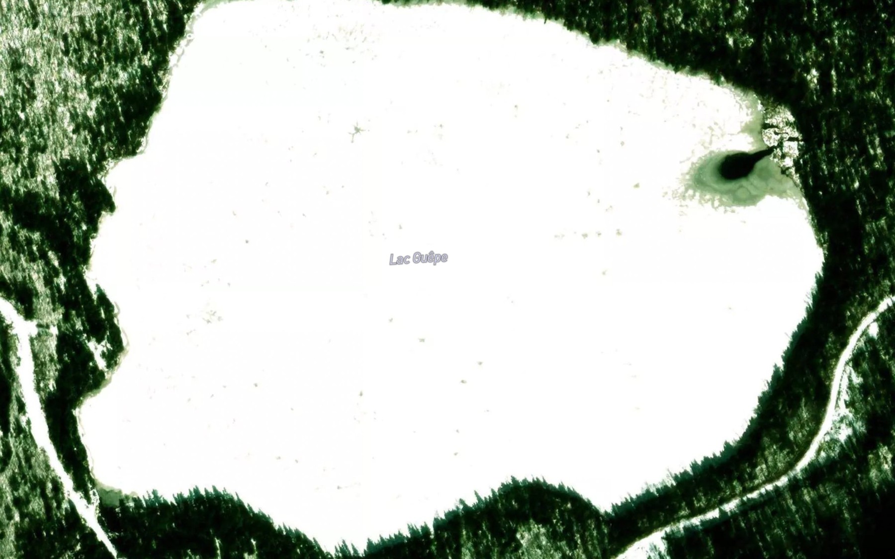 Satellite map of the Lac Guepe