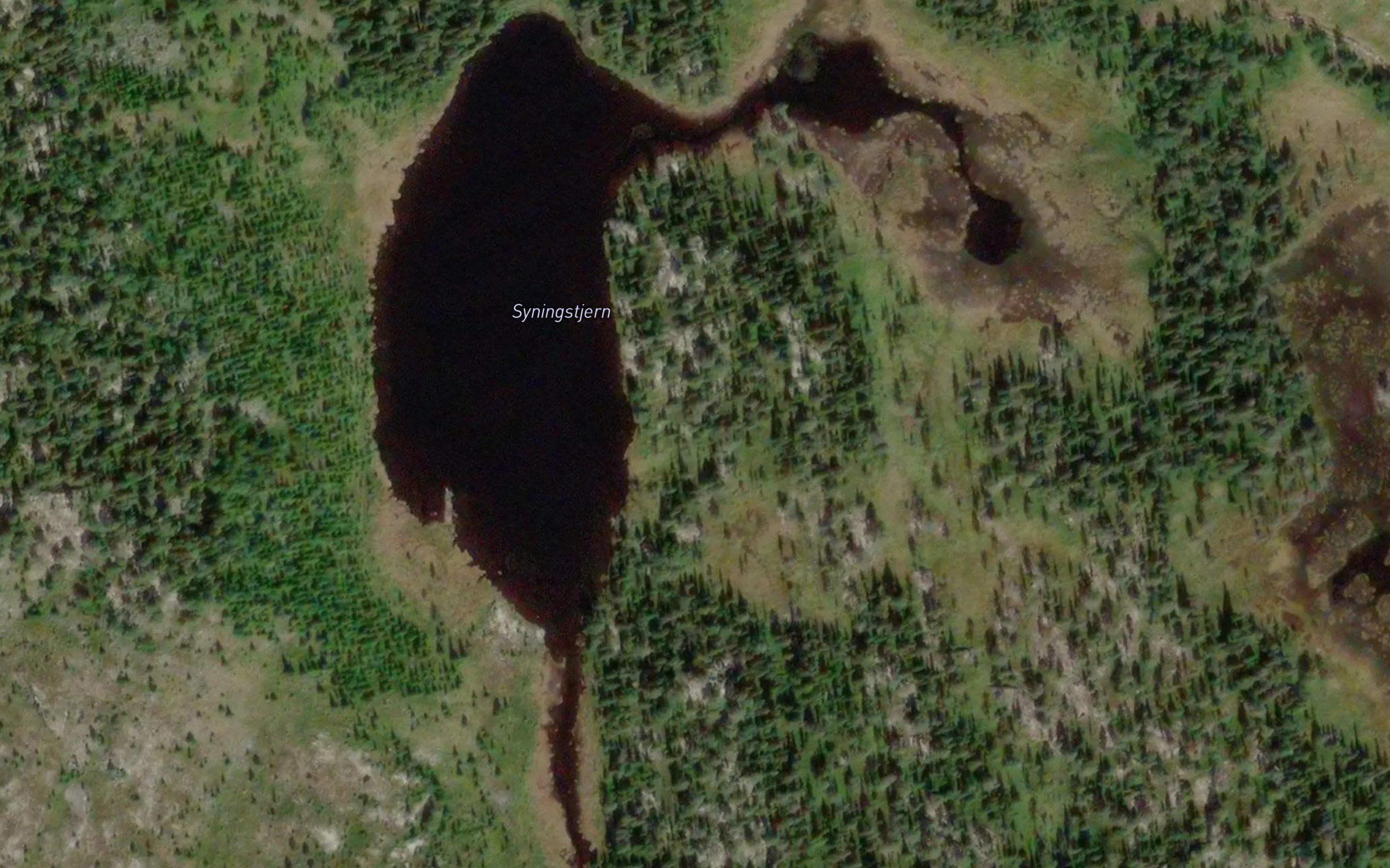 Syningstjernet