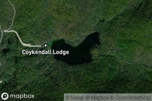 Alder Lake