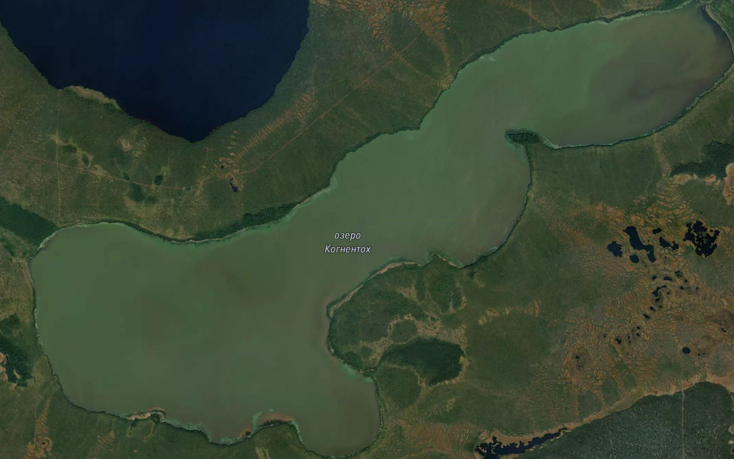 Ozero Kognentog