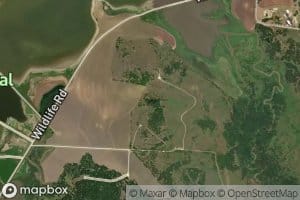 Old Goose Pond