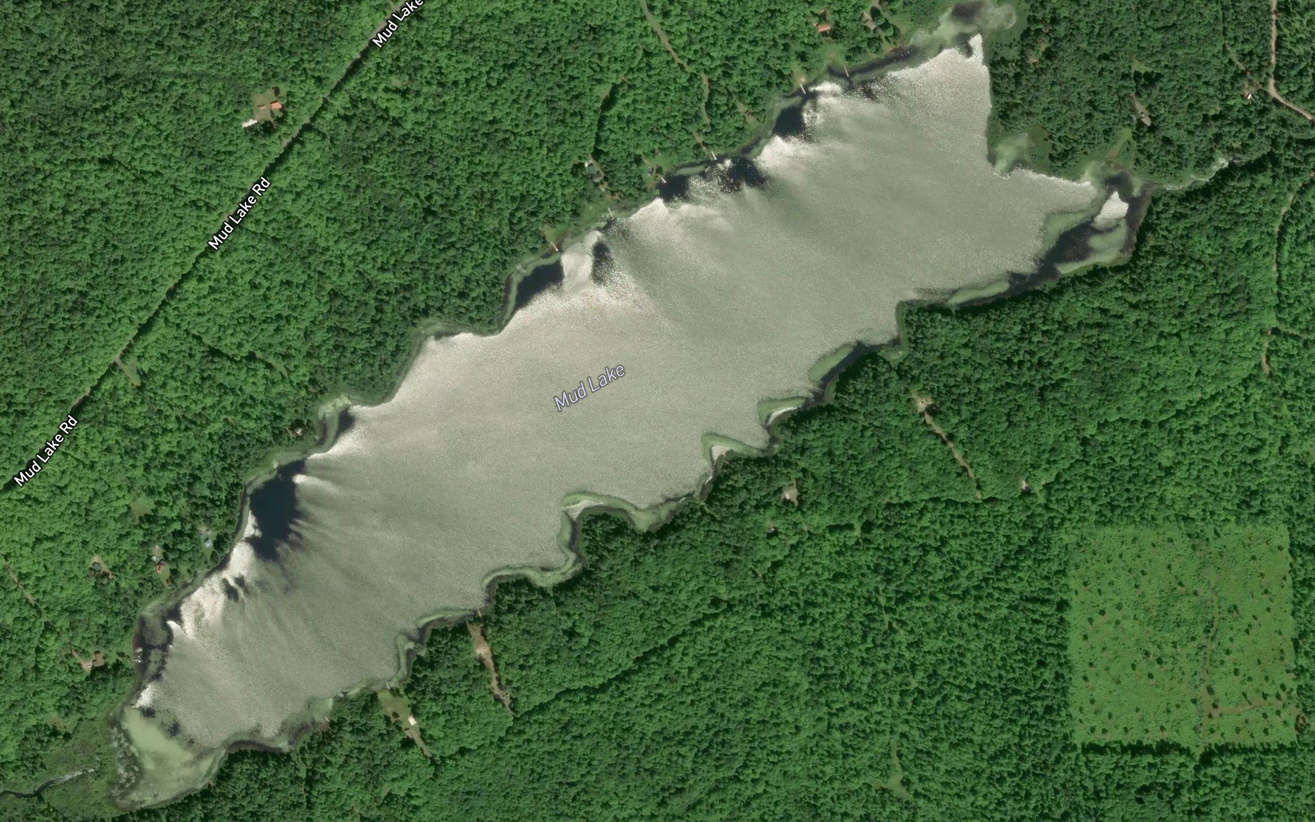 Mud Lake