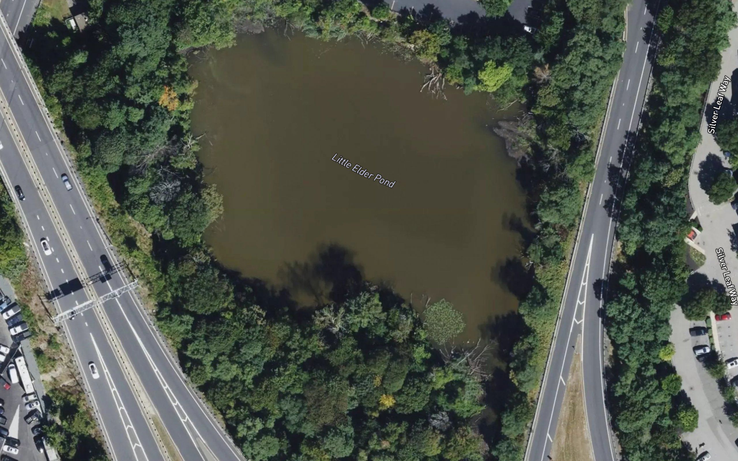 Little Elder Pond