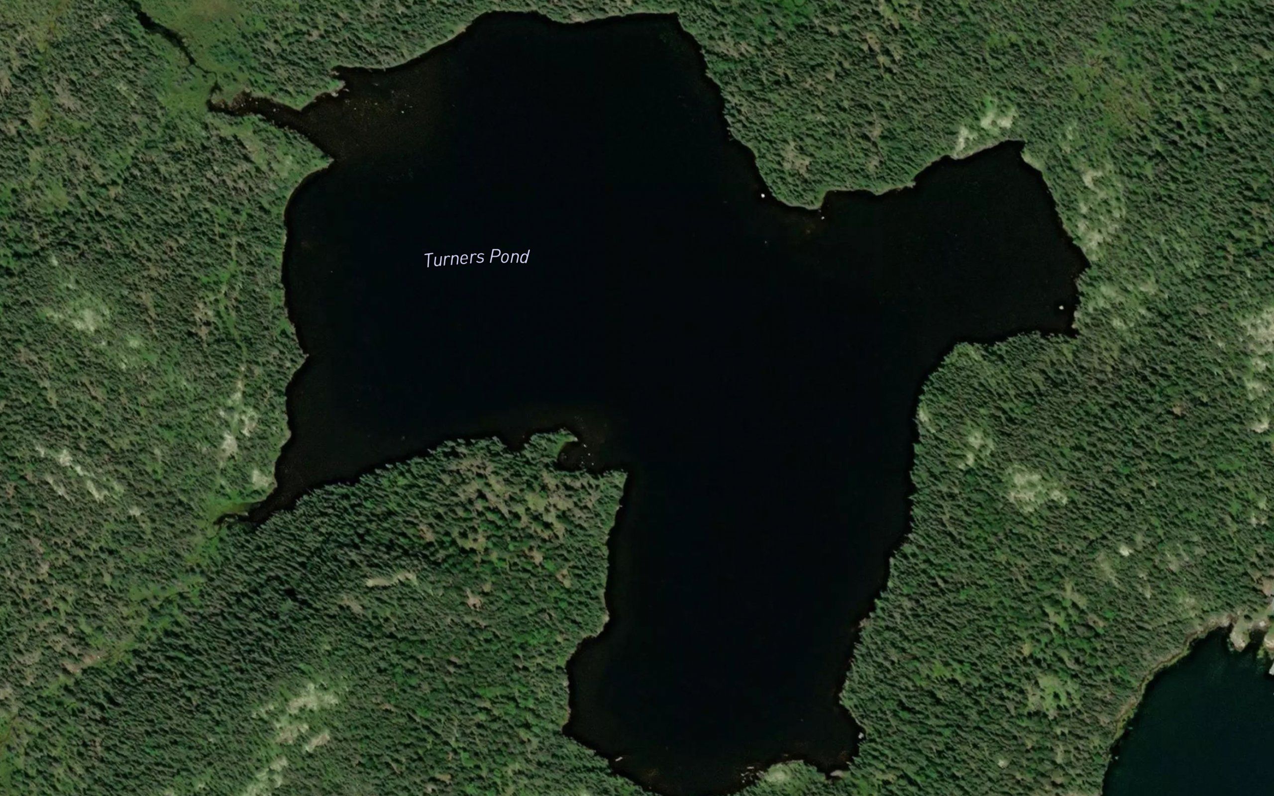 Turners Pond