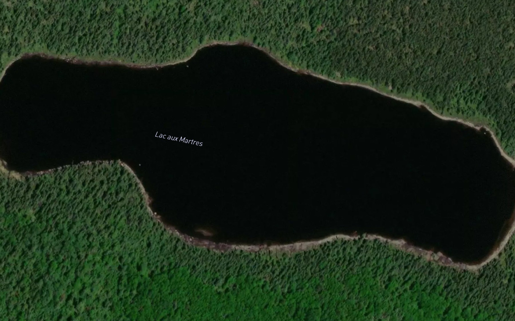 Satellite map of the Lac aux Martres