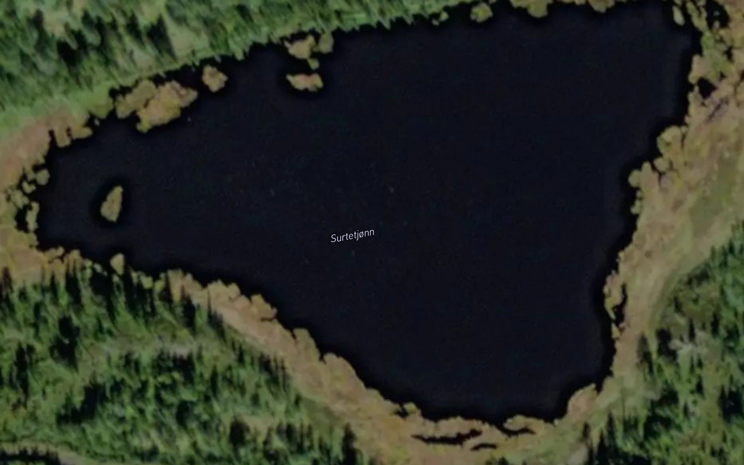 Surtetjorn
