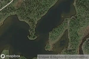 Abborvatnet
